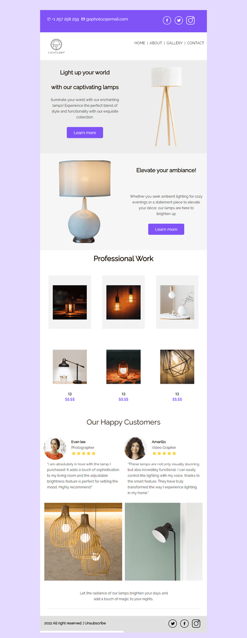 Captivating Lamps Email Template