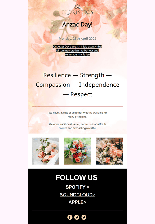 Ecommerce Anzac Day Email Template